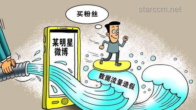 网警重拳出击：摧毁一网络水军团伙的深度案例研究