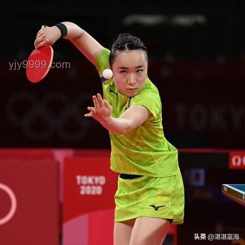 2025乒超樊振东3:2林诗栋，五连胜深度解析